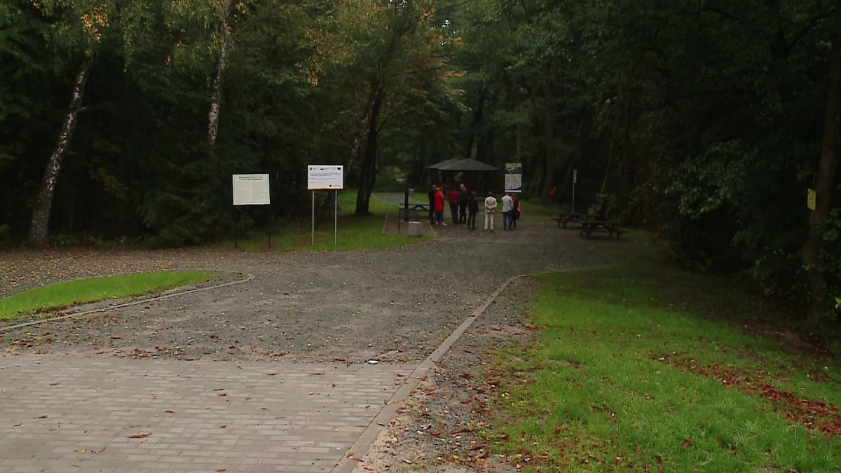 Zdjęcie
