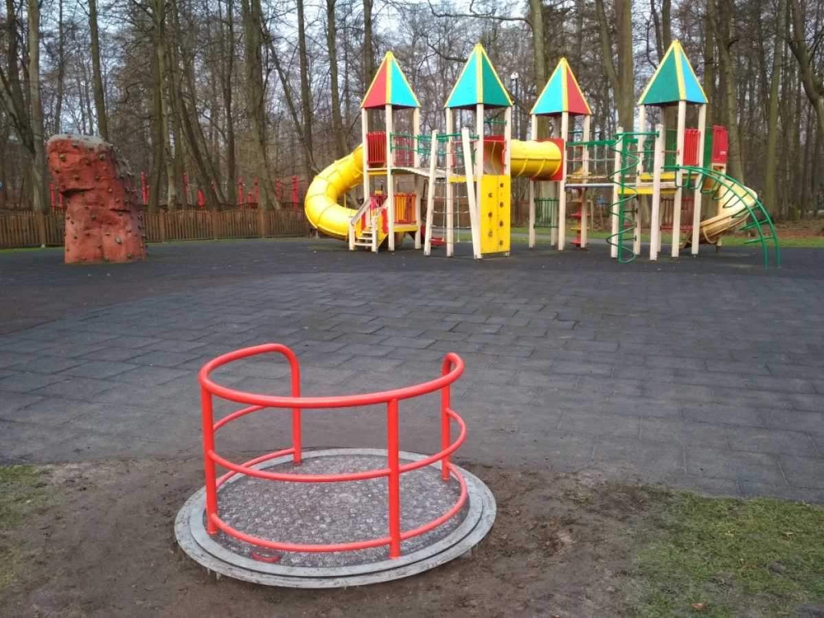 Zdjęcie