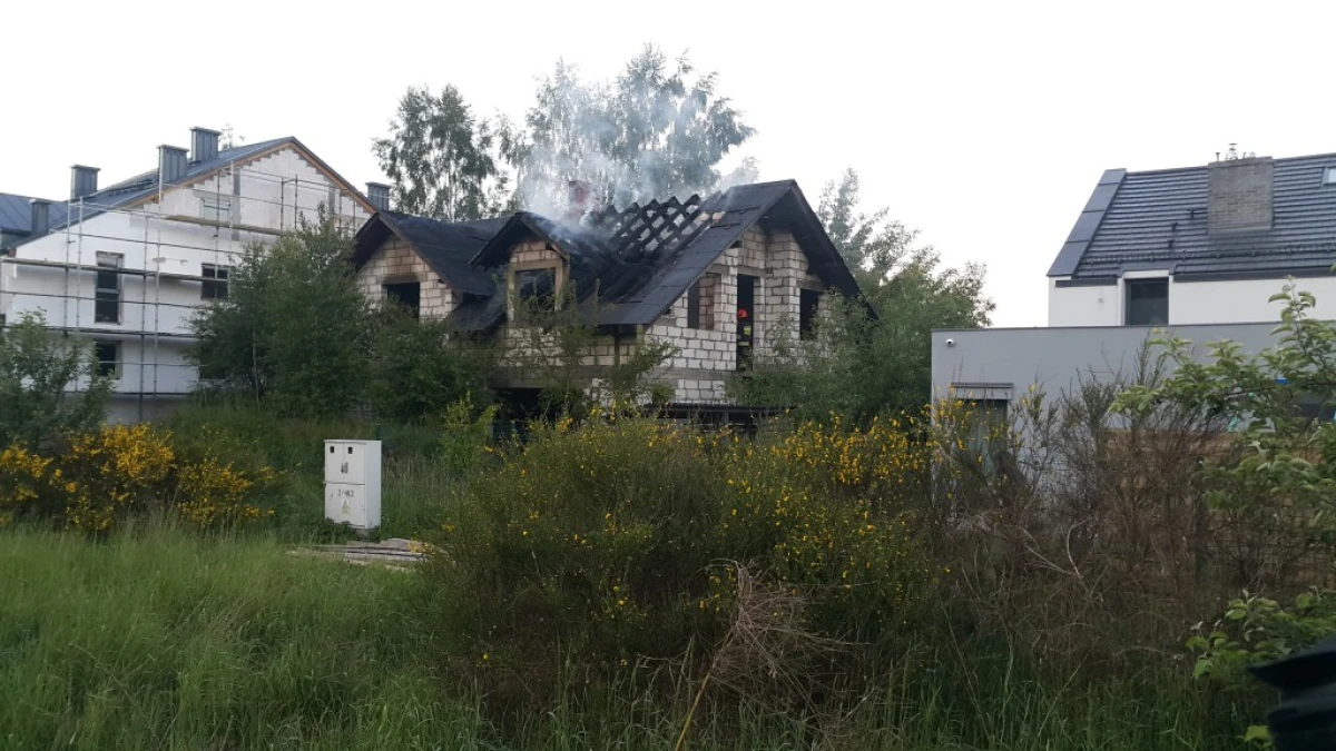 Zdjęcie