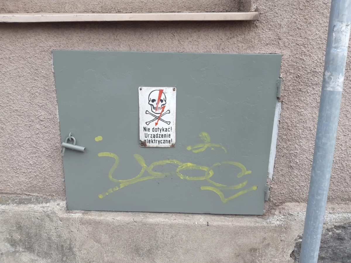 Zdjęcie