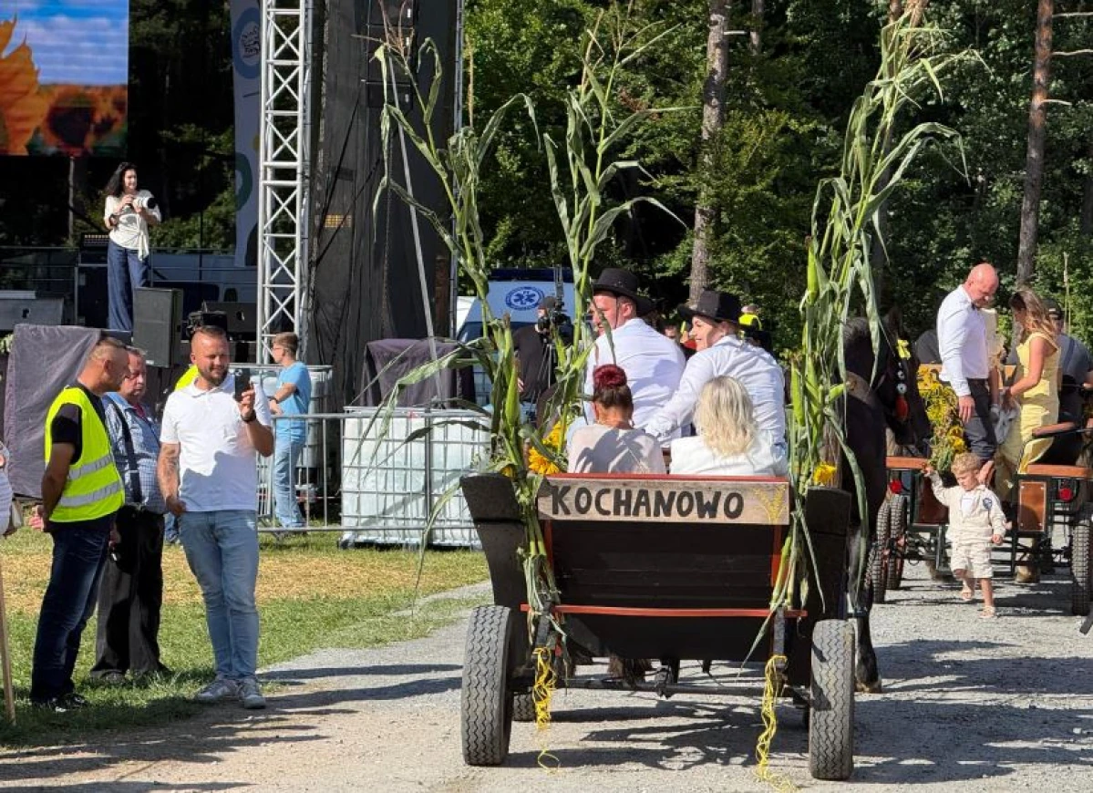 Zdjęcie