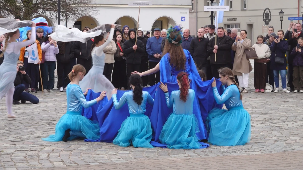 Zdjęcie
