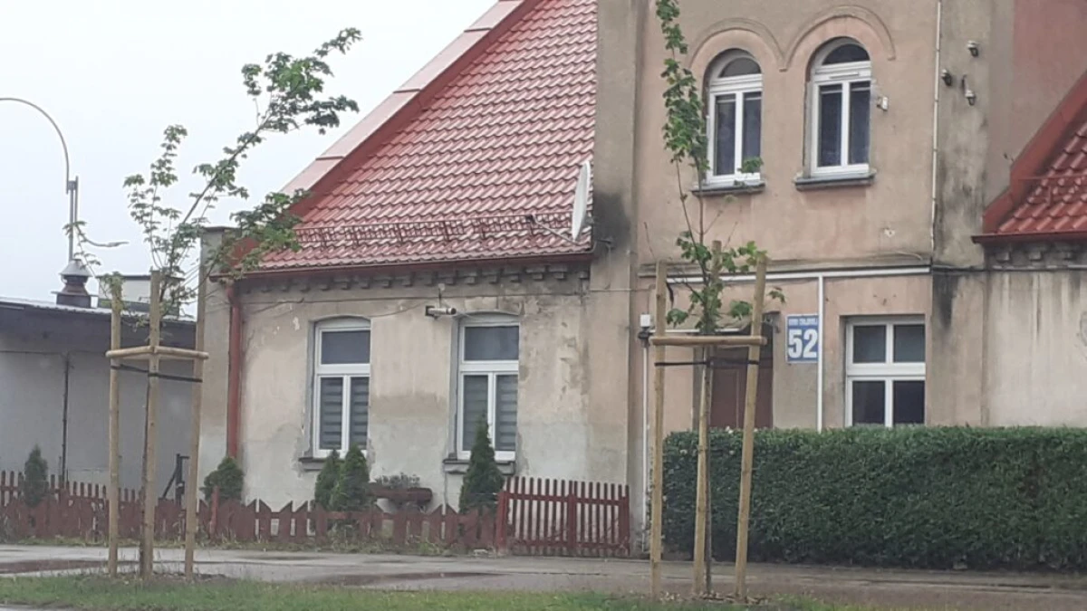Zdjęcie