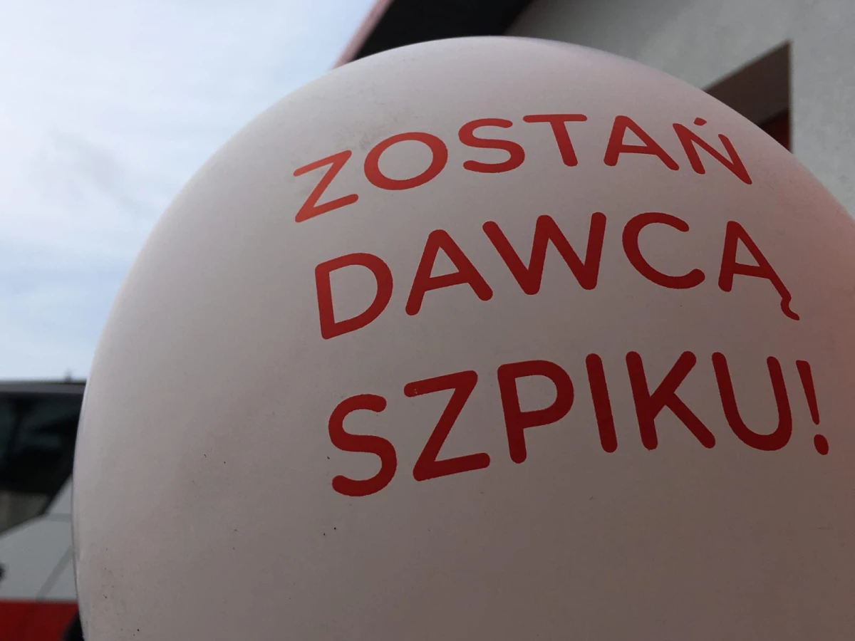 Zdjęcie