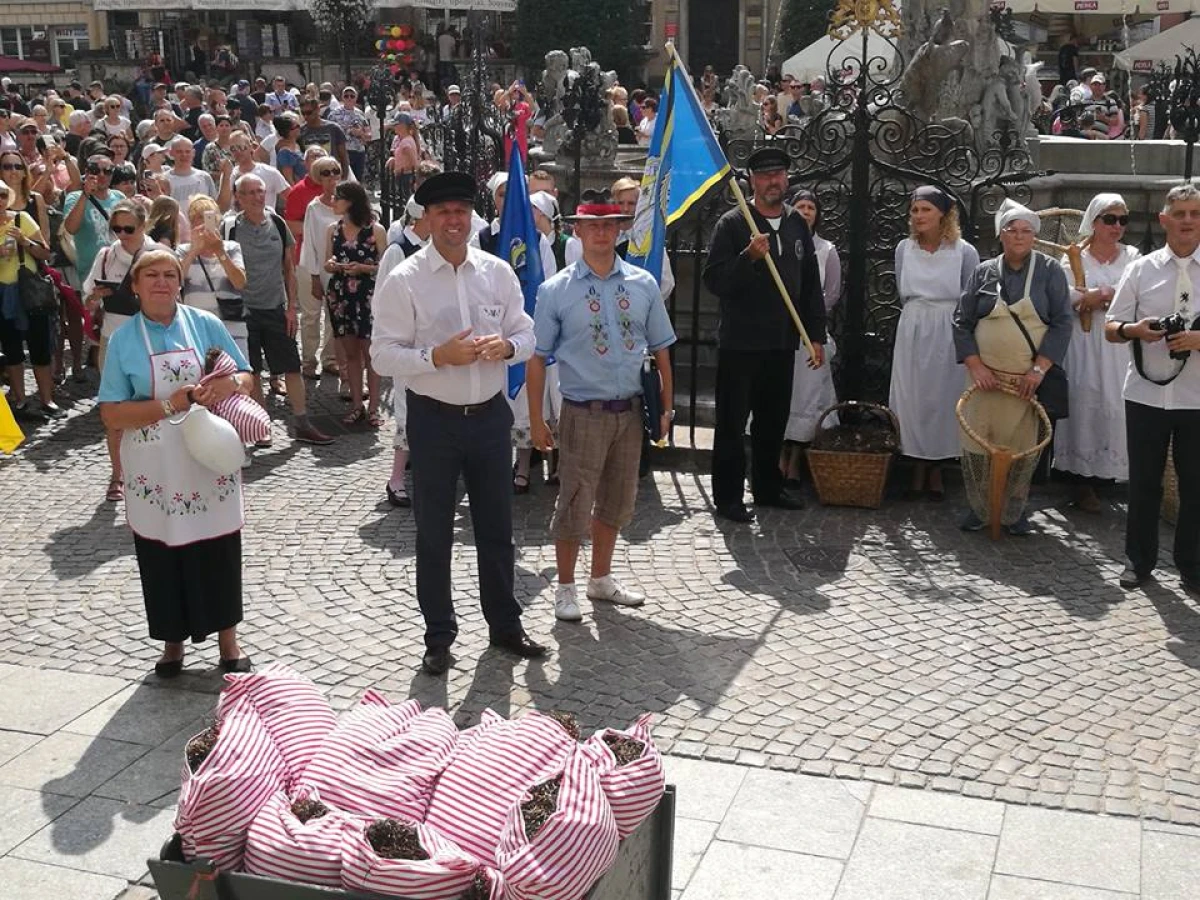 Zdjęcie