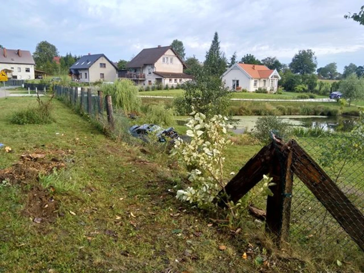 Zdjęcie