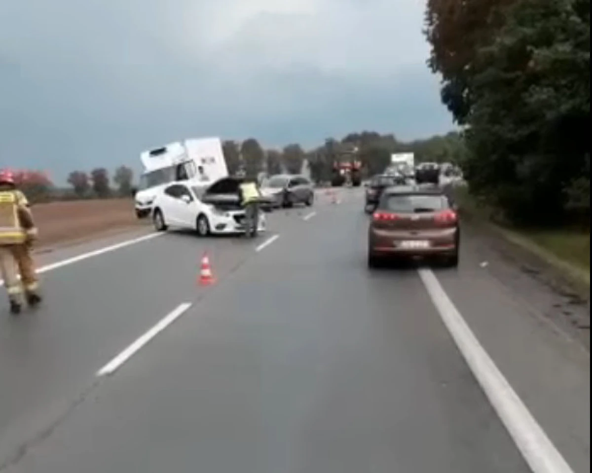 Zdjęcie