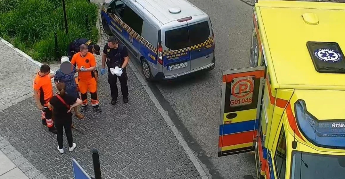 Zdjęcie