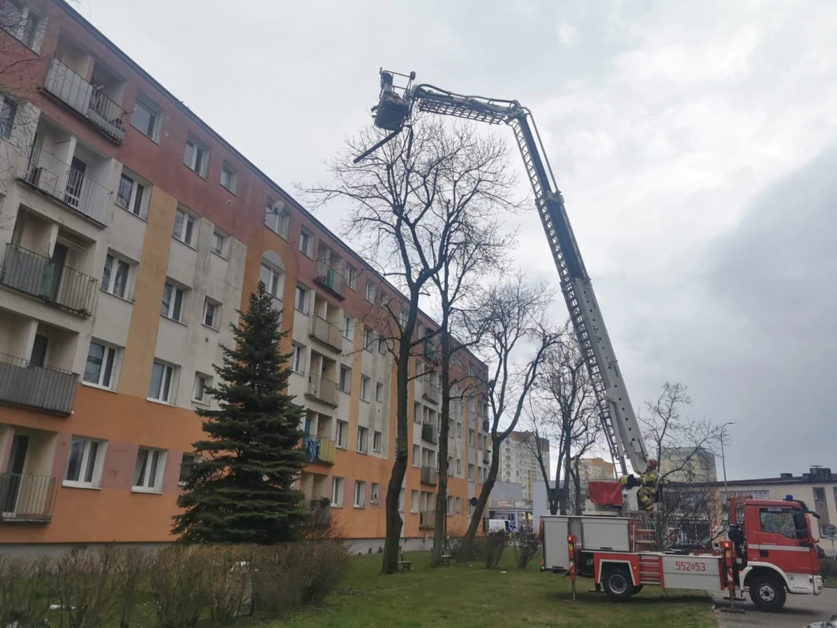 Zdjęcie