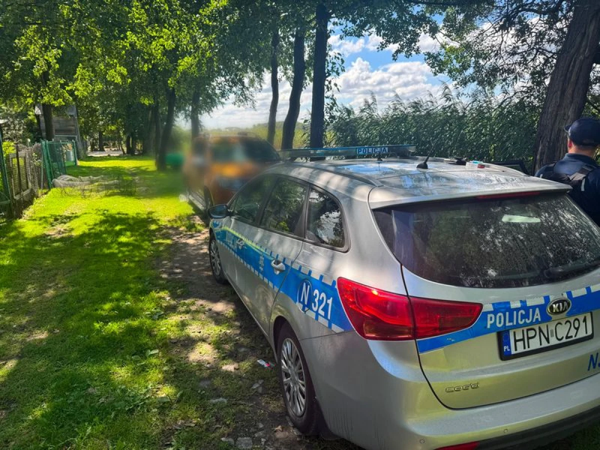 Zdjęcie