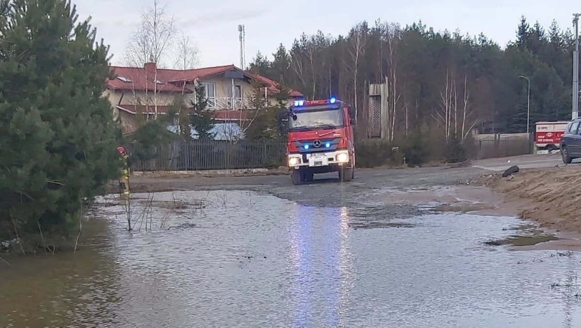Zdjęcie