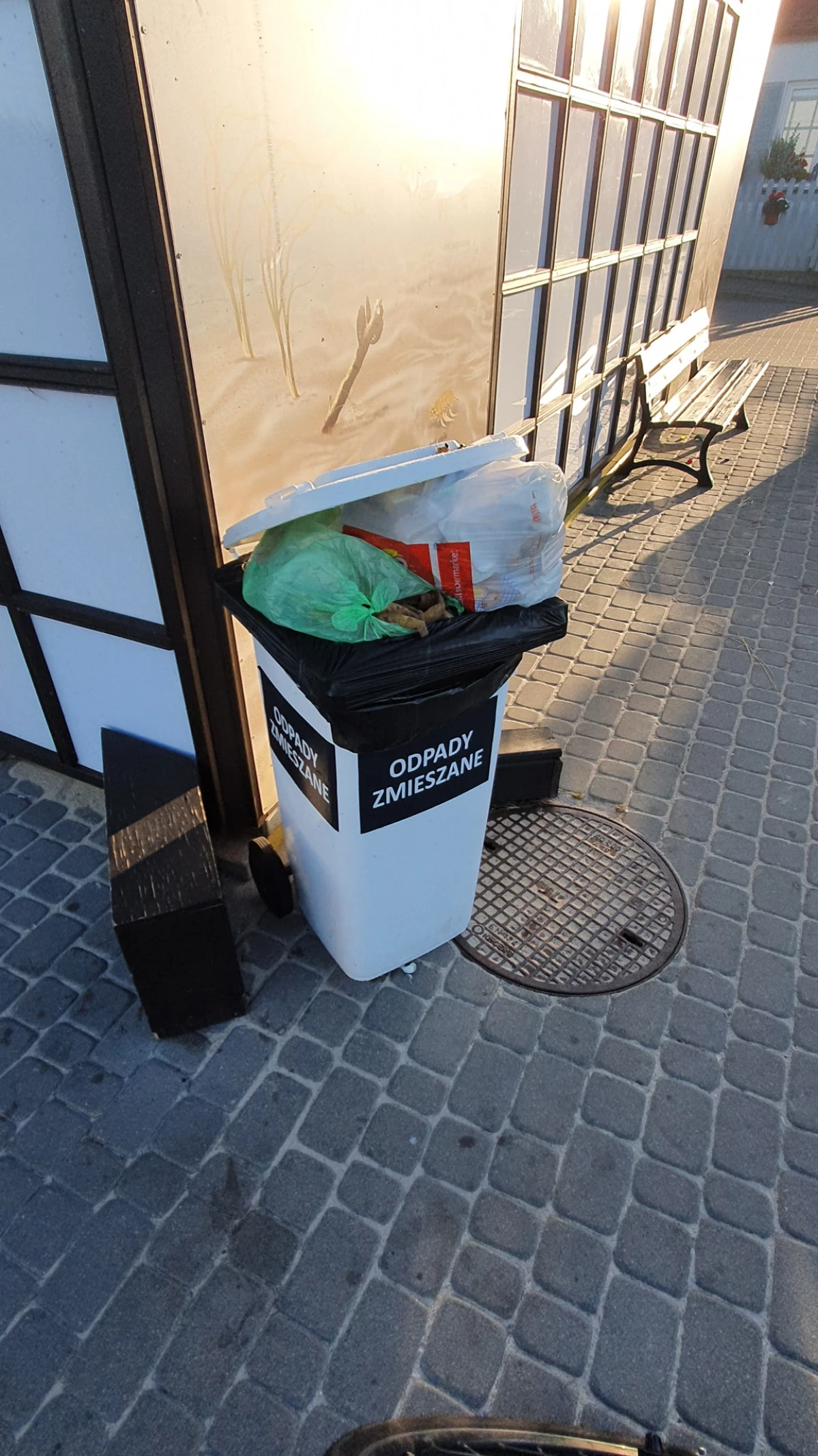 Zdjęcie