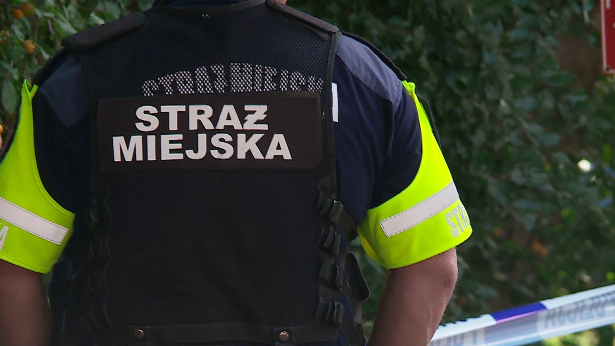Zdjęcie