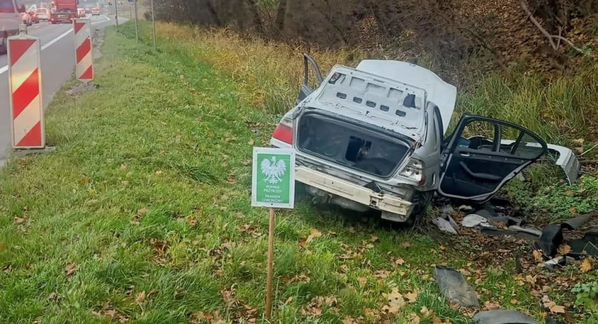 Zdjęcie