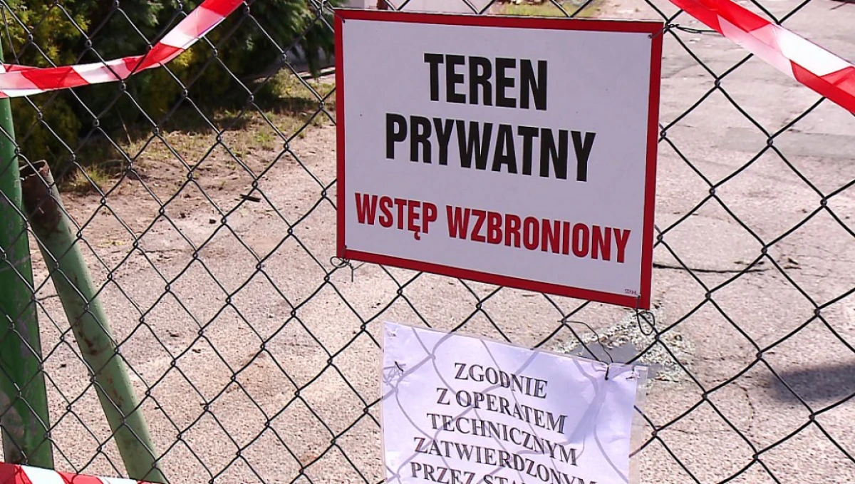 Zdjęcie
