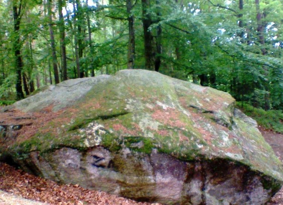Zdjęcie