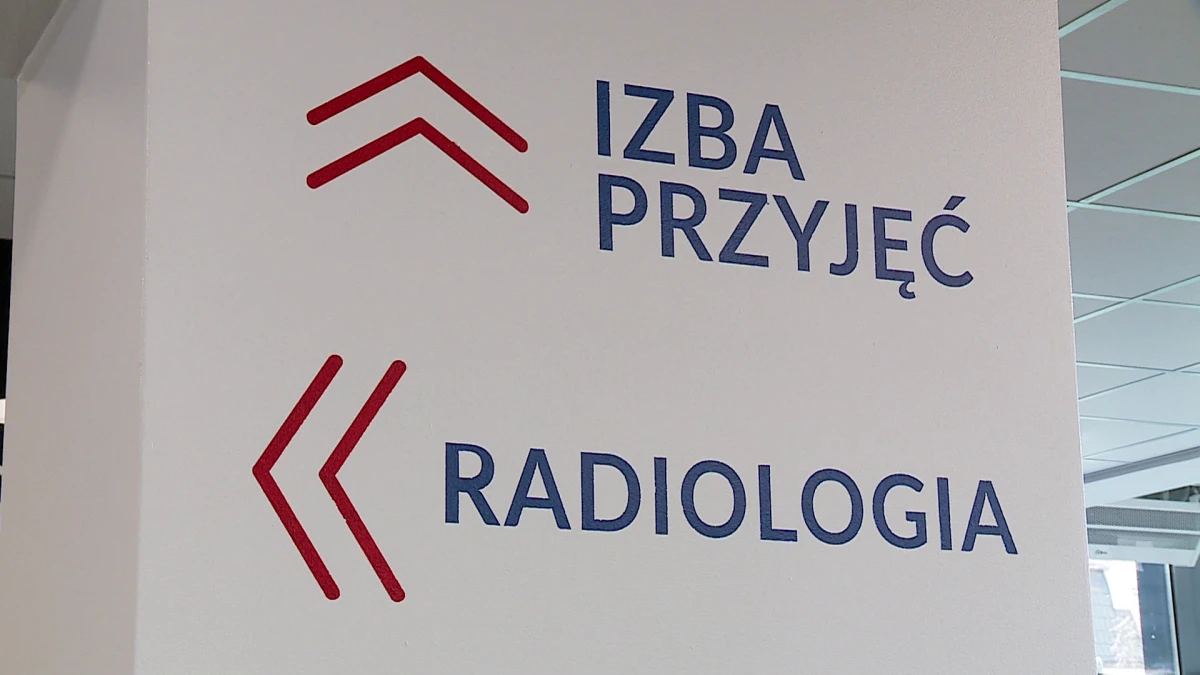 Zdjęcie