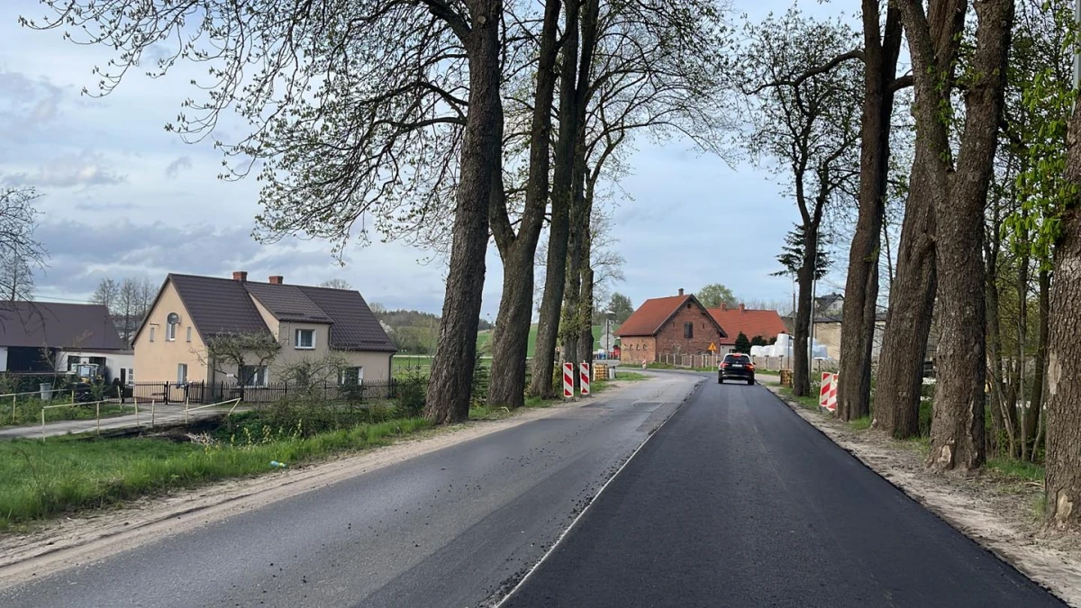 Zdjęcie