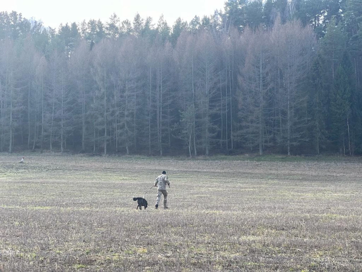 Zdjęcie