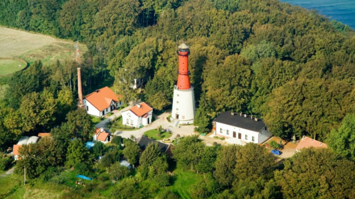 Zdjęcie