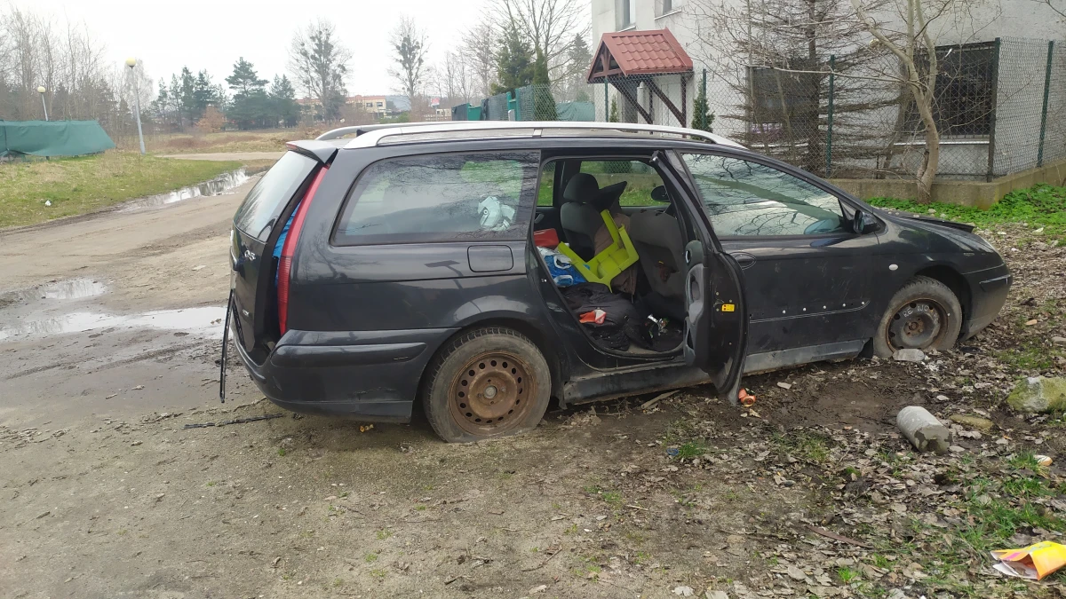 Zdjęcie