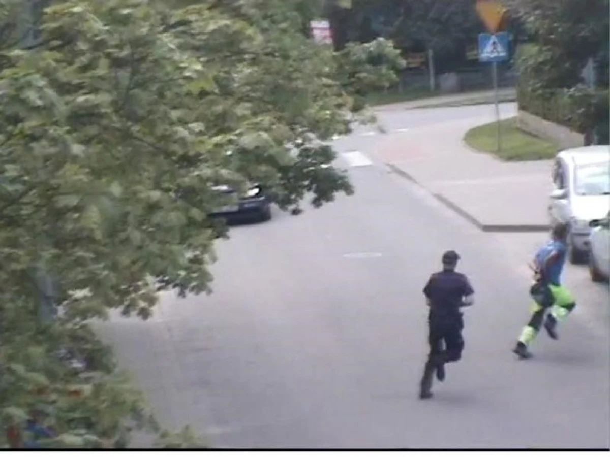 Zdjęcie