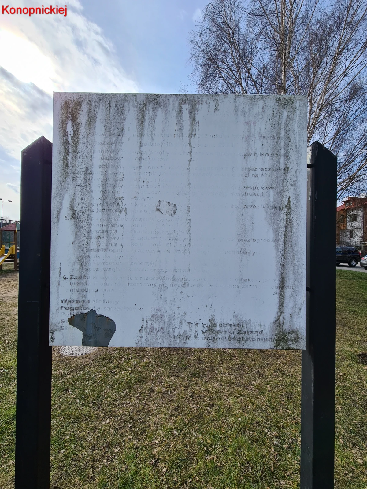 Zdjęcie
