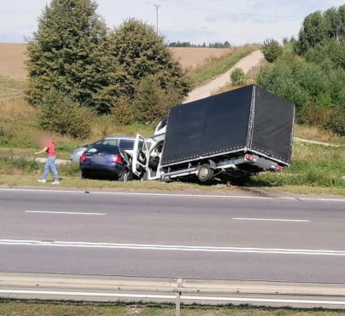 Zdjęcie