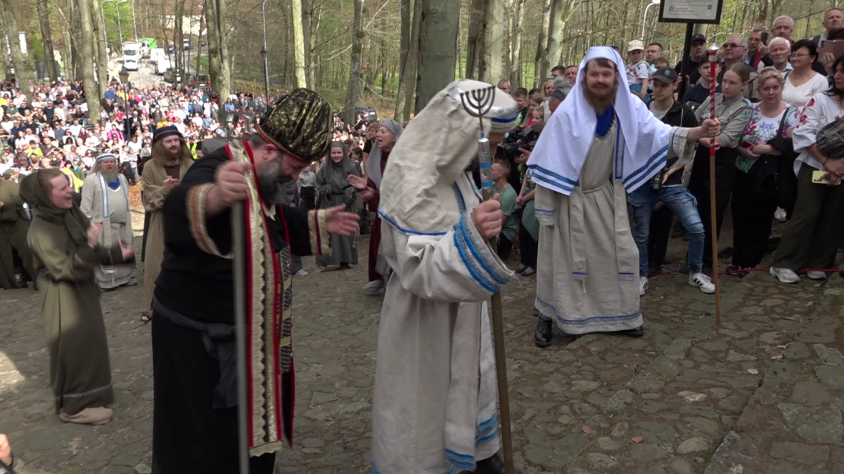 Zdjęcie