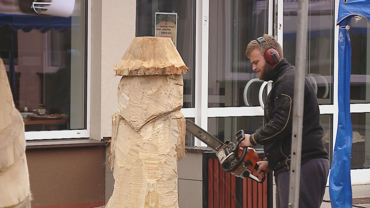 Zdjęcie