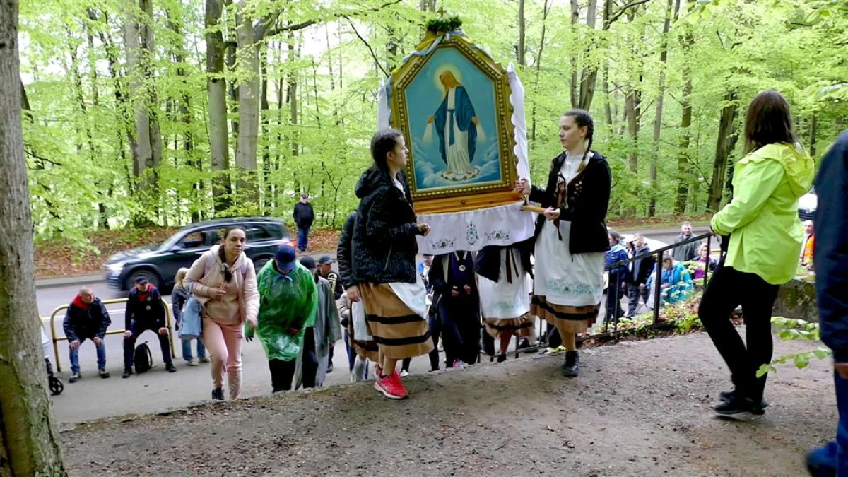 Zdjęcie