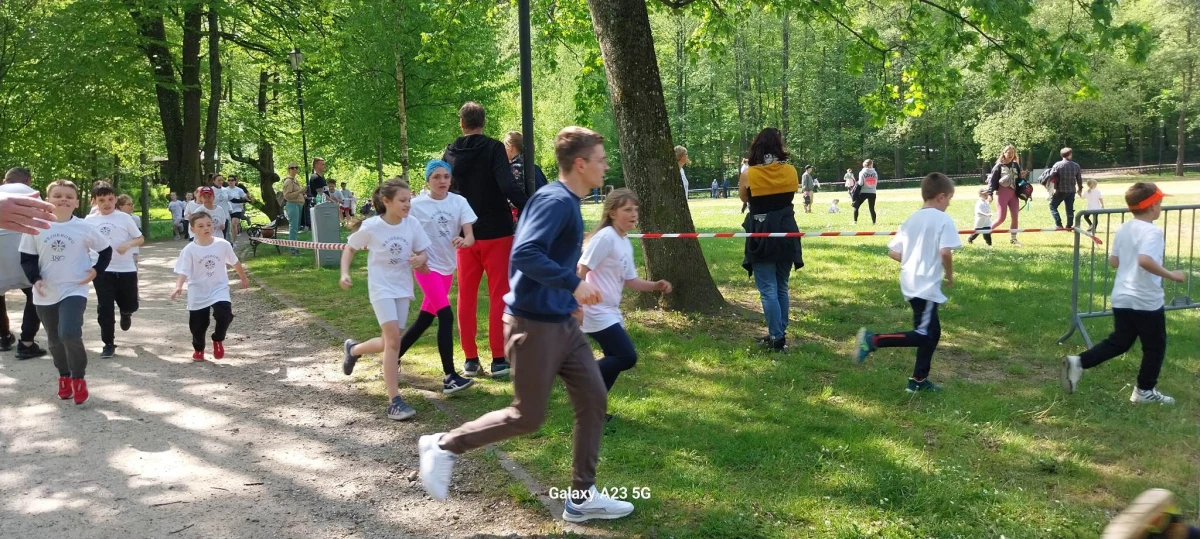 Zdjęcie