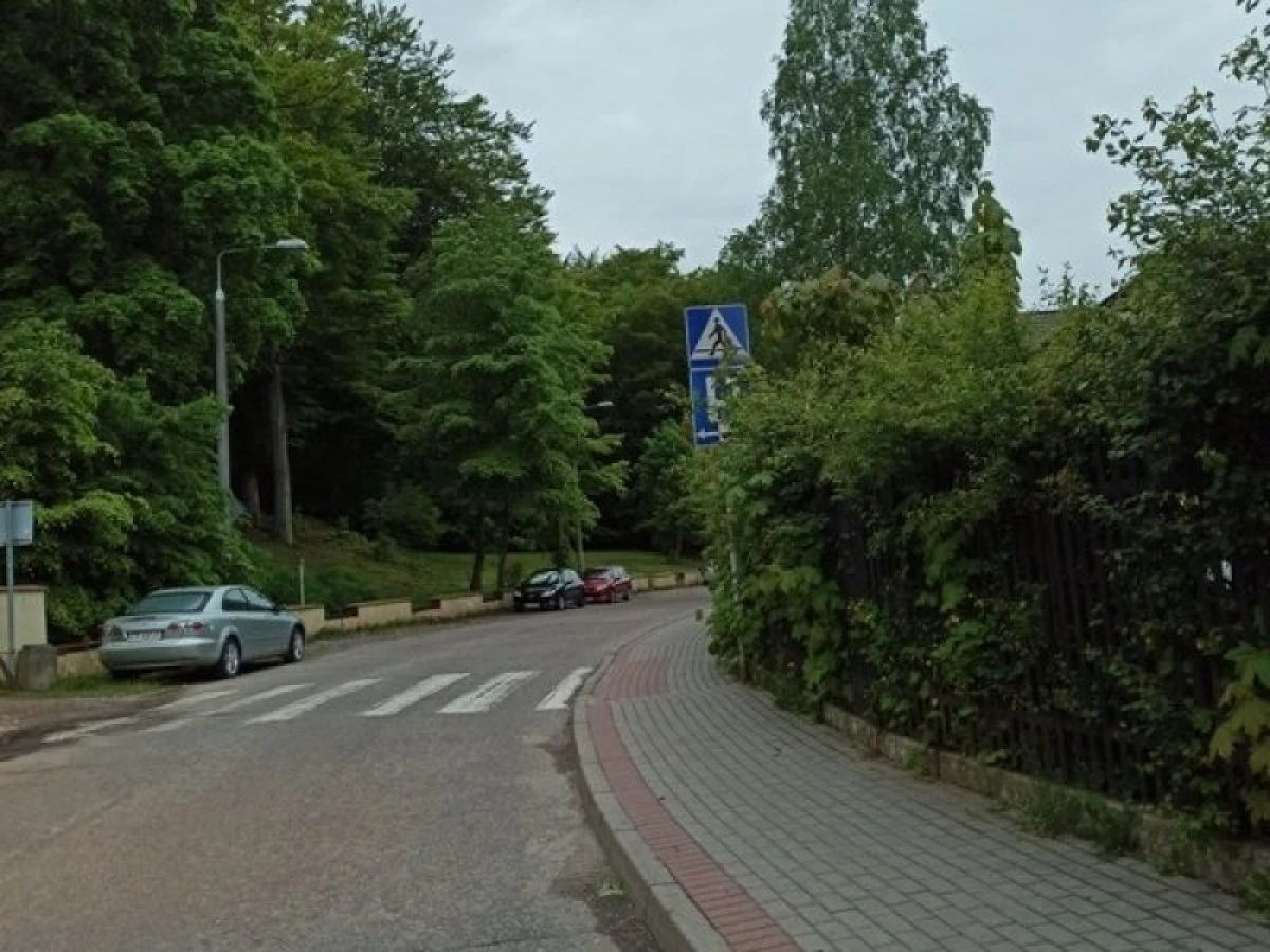 Zdjęcie