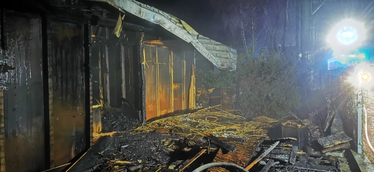 Zdjęcie