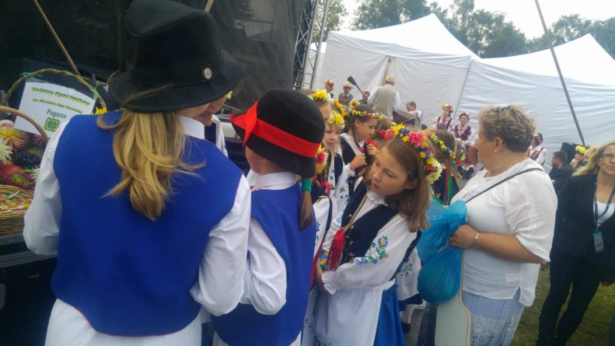 Zdjęcie