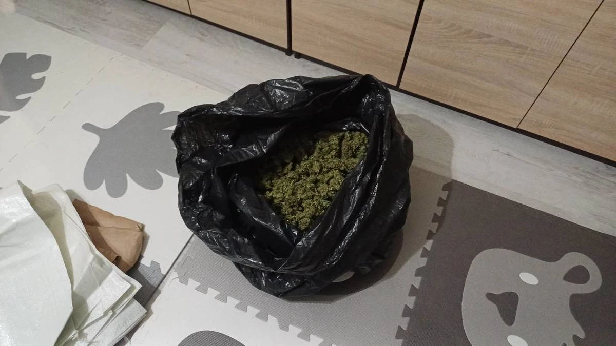 Zdjęcie