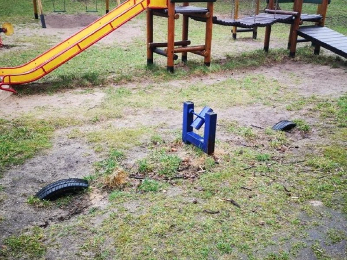 Zdjęcie