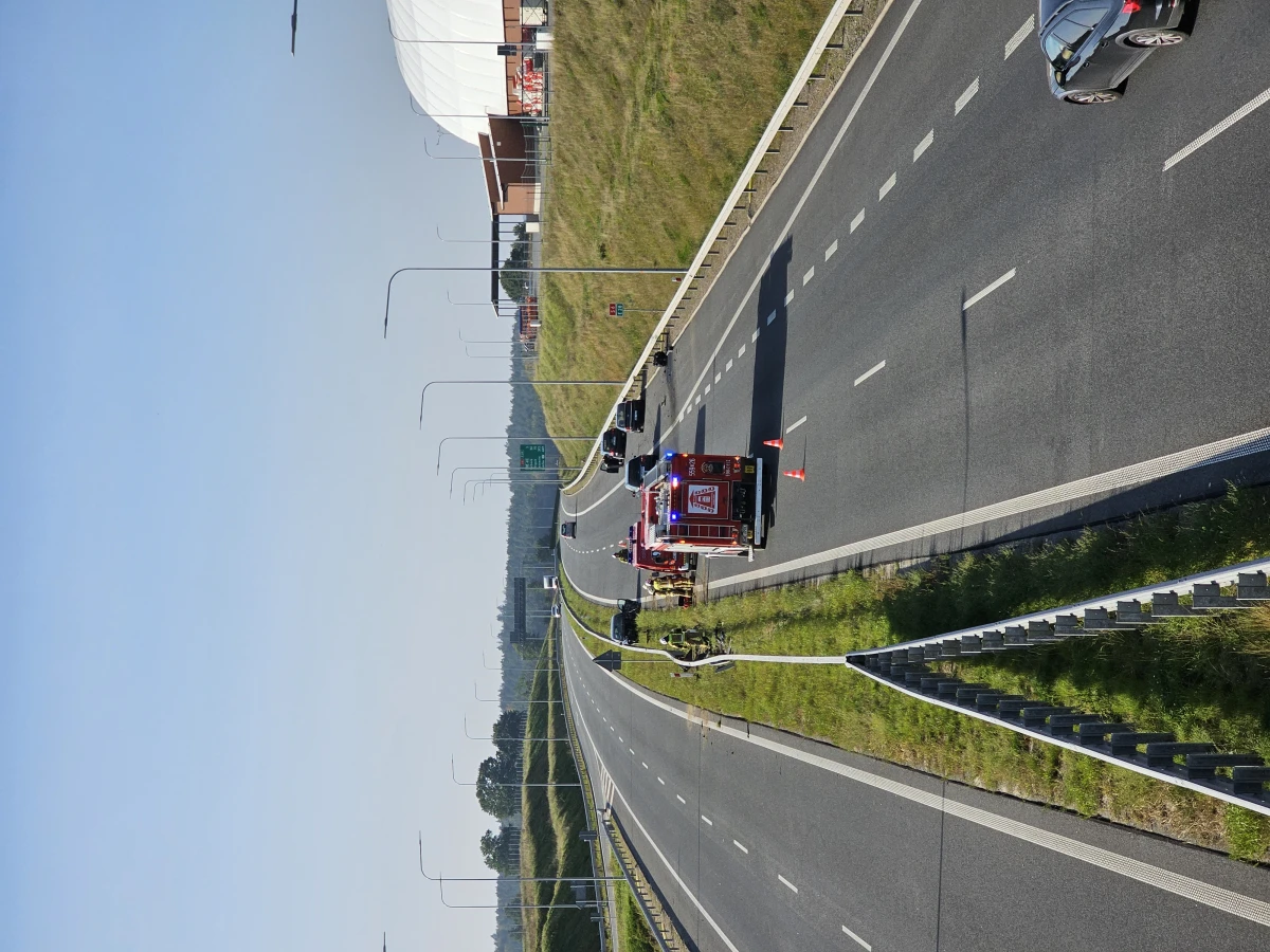 Zdjęcie