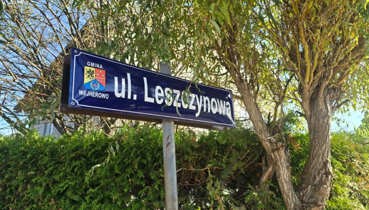 Zdjęcie