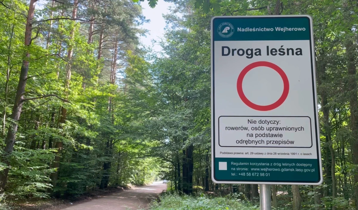 Zdjęcie