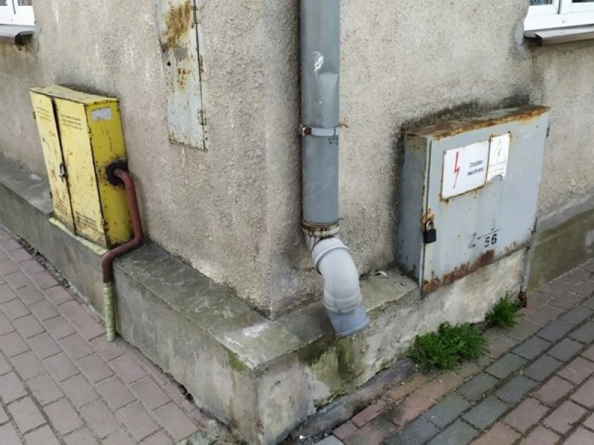 Zdjęcie