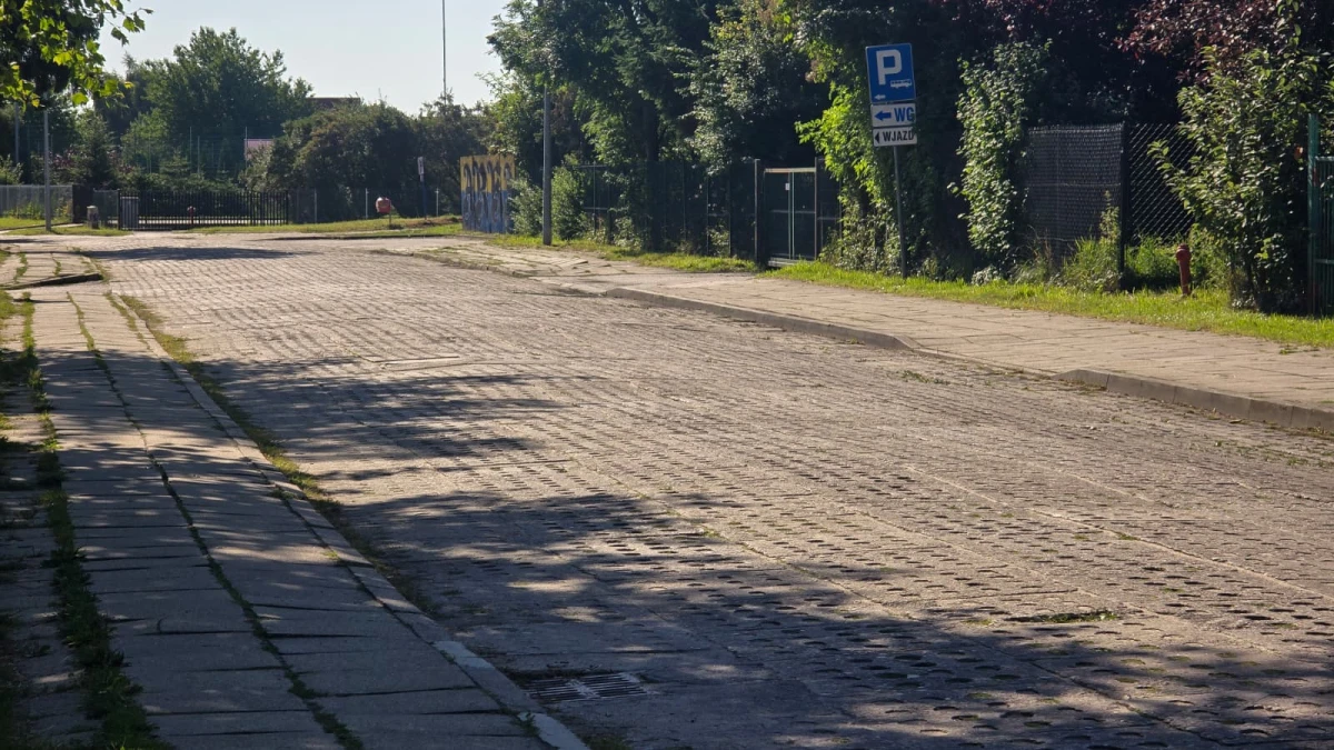 Zdjęcie