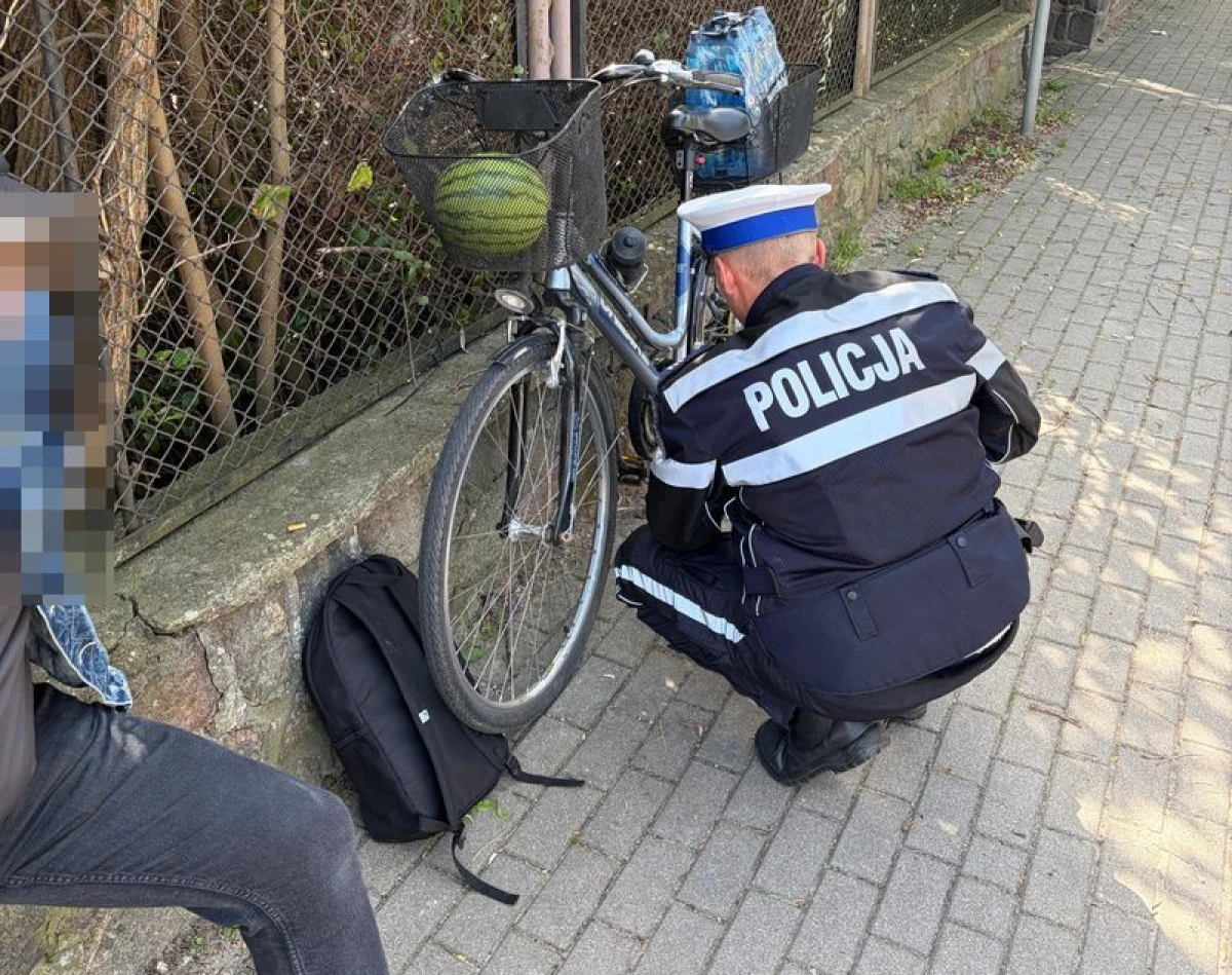 Zdjęcie