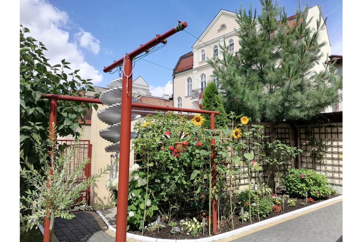 Zdjęcie