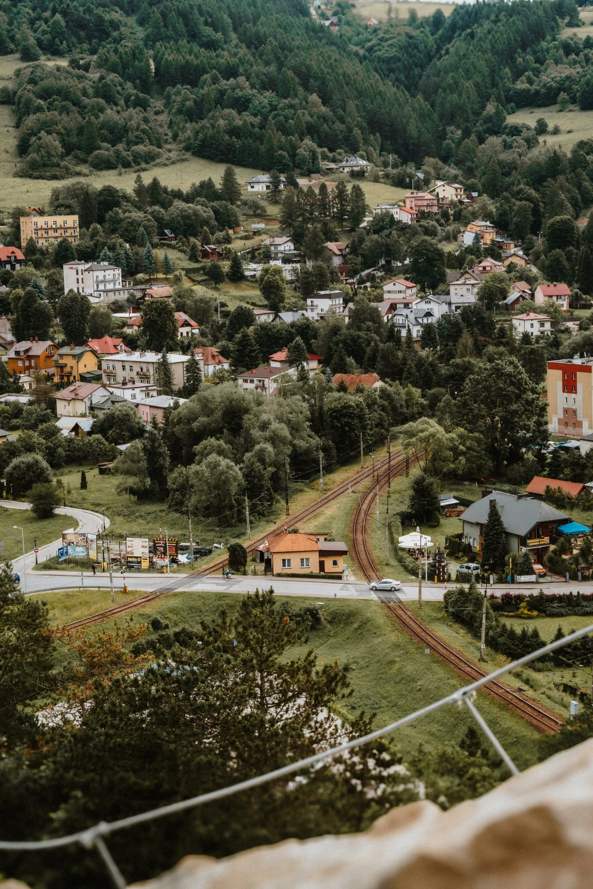 Zdjęcie