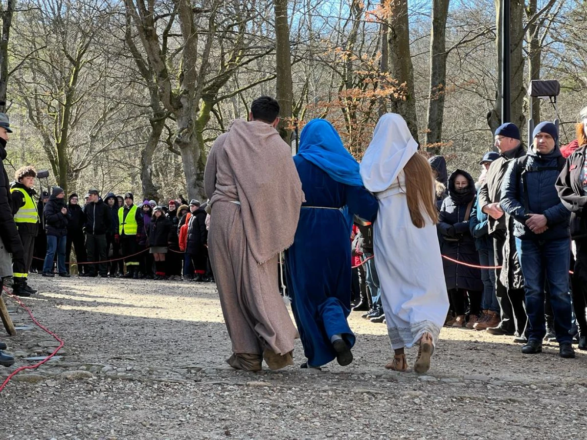 Zdjęcie