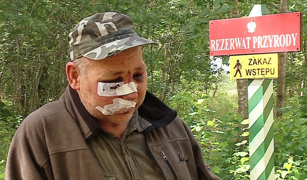 Zdjęcie