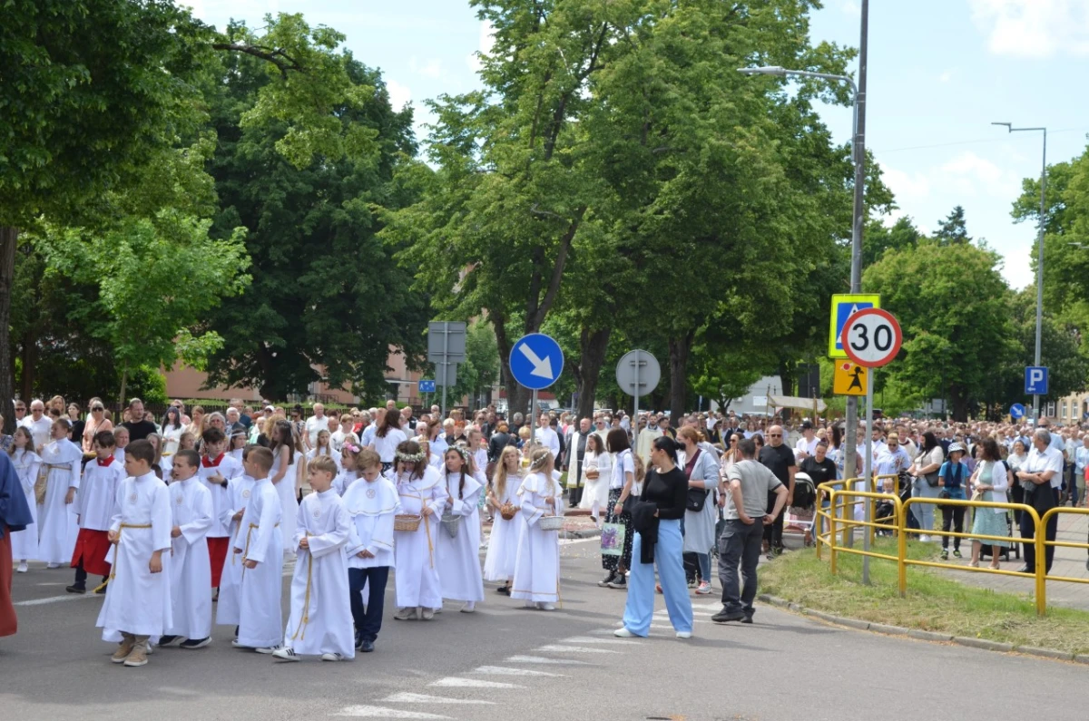 Zdjęcie