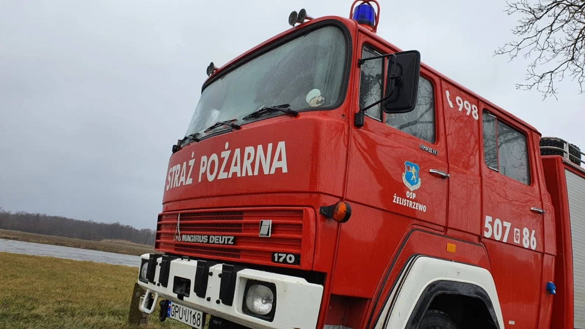 Zdjęcie