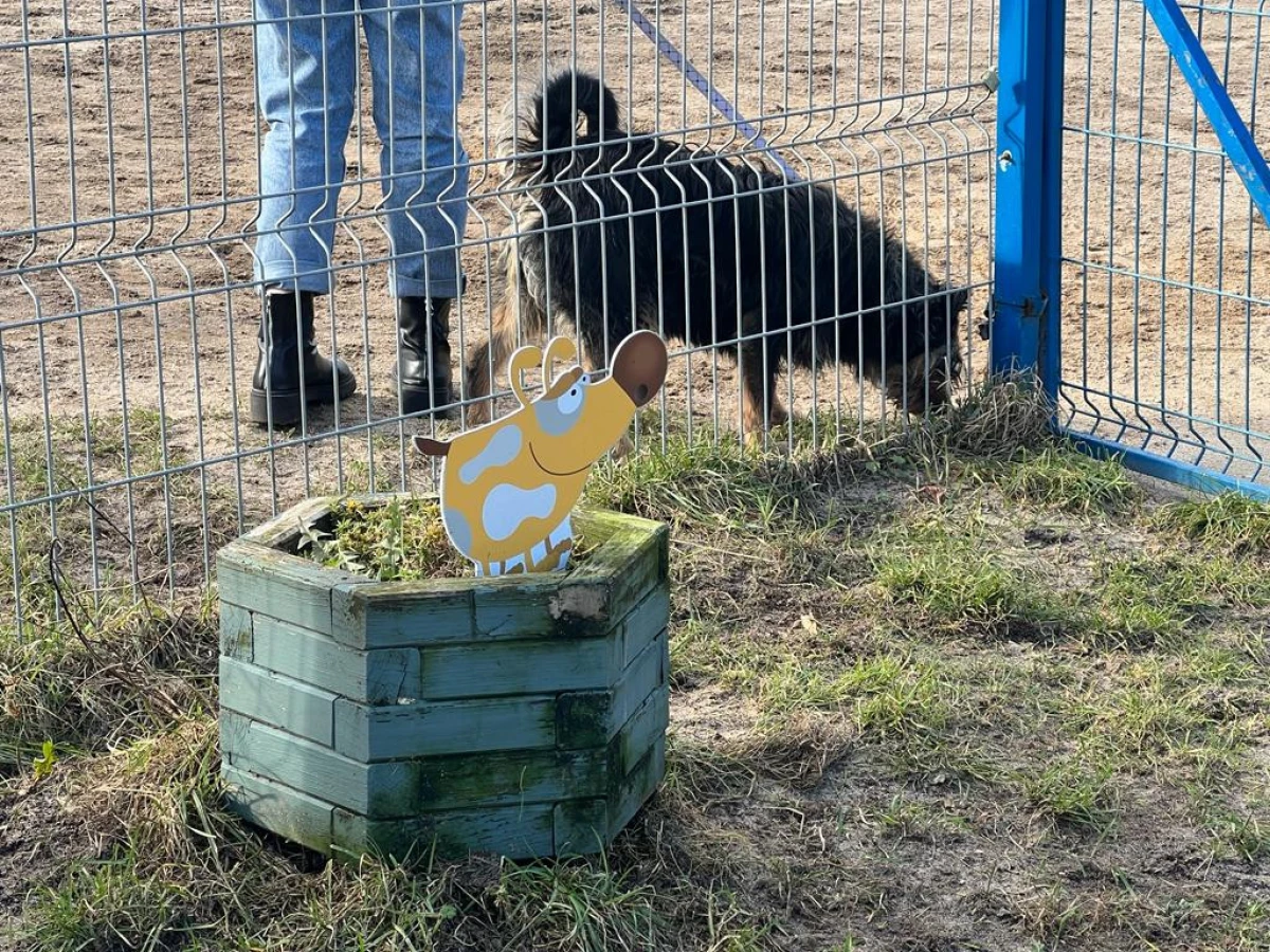 Zdjęcie